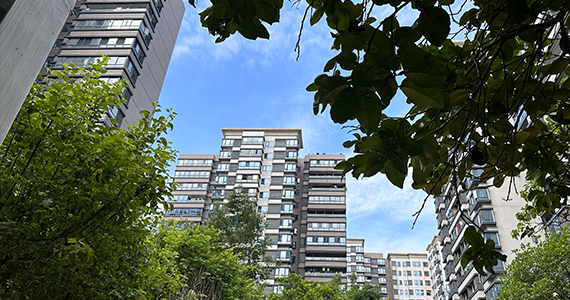 在线播放网址IP域名查询