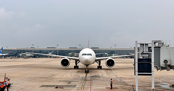 8x域名解析IP网址查询