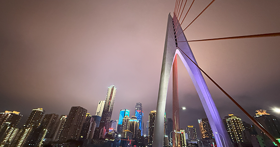 网址域名怎么能查询到